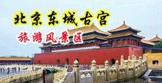 鸡巴捣漫免费操逼中国北京-东城古宫旅游风景区
