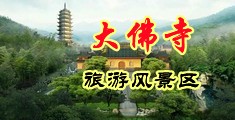网站黄插b中国浙江-新昌大佛寺旅游风景区